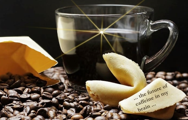 coffee-beans Pxfuel future in my brain